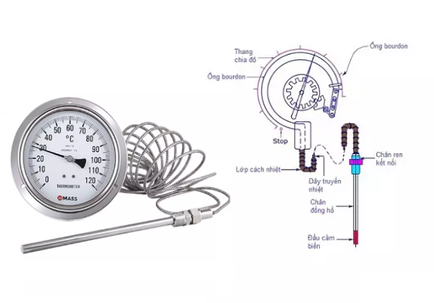 đông hồ áp suất dạng dây 0-100 độ