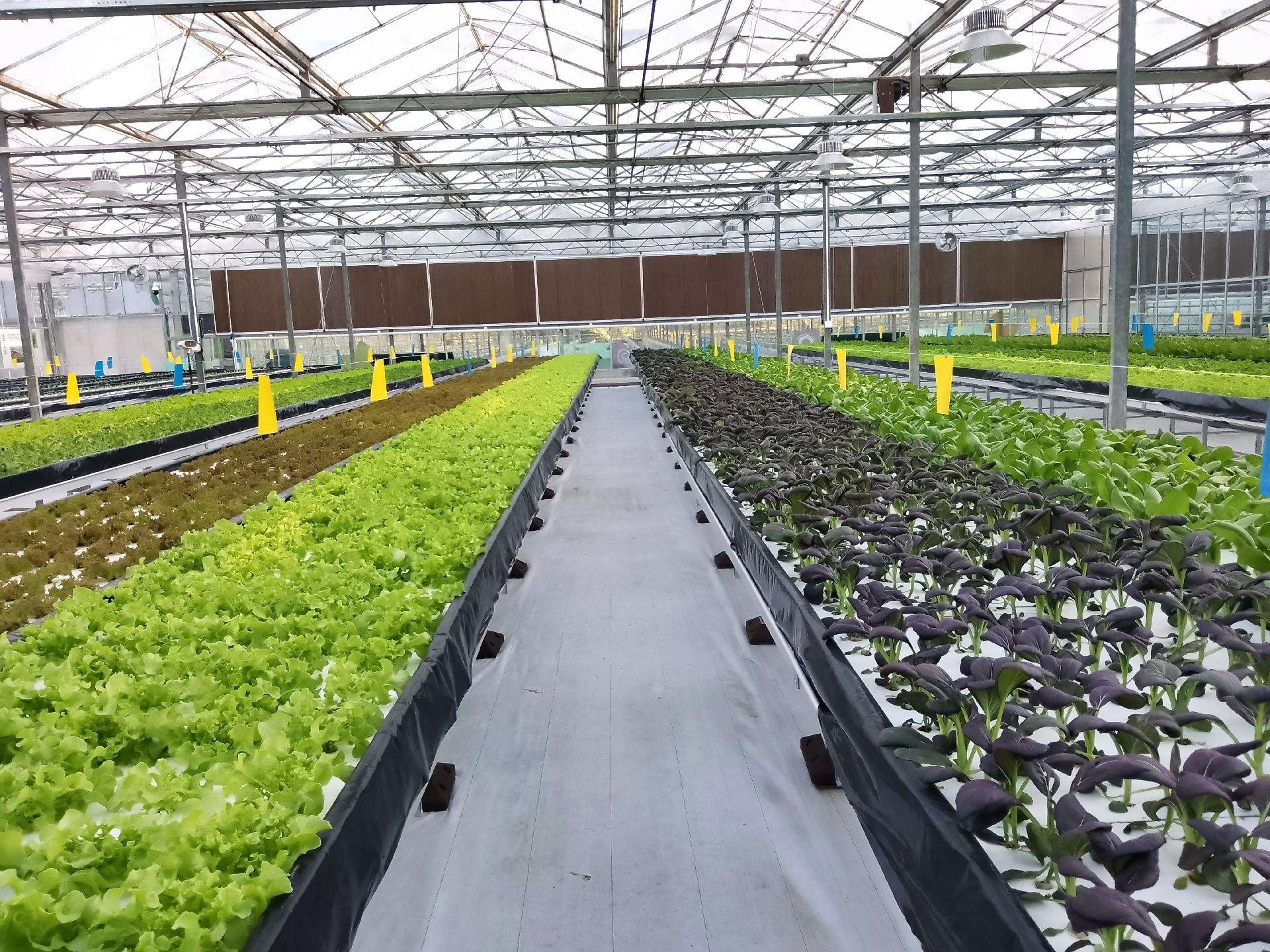 CẢM BIẾN ĐO KH&Iacute; GAS PHỔ BIẾN TRONG N&Ocirc;NG NGHIỆP TH&Ocirc;NG MINH