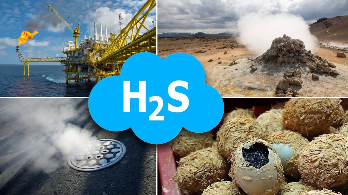 CẢM BIẾN KH&Iacute; H2S (HYDROGEN SULFIDE)