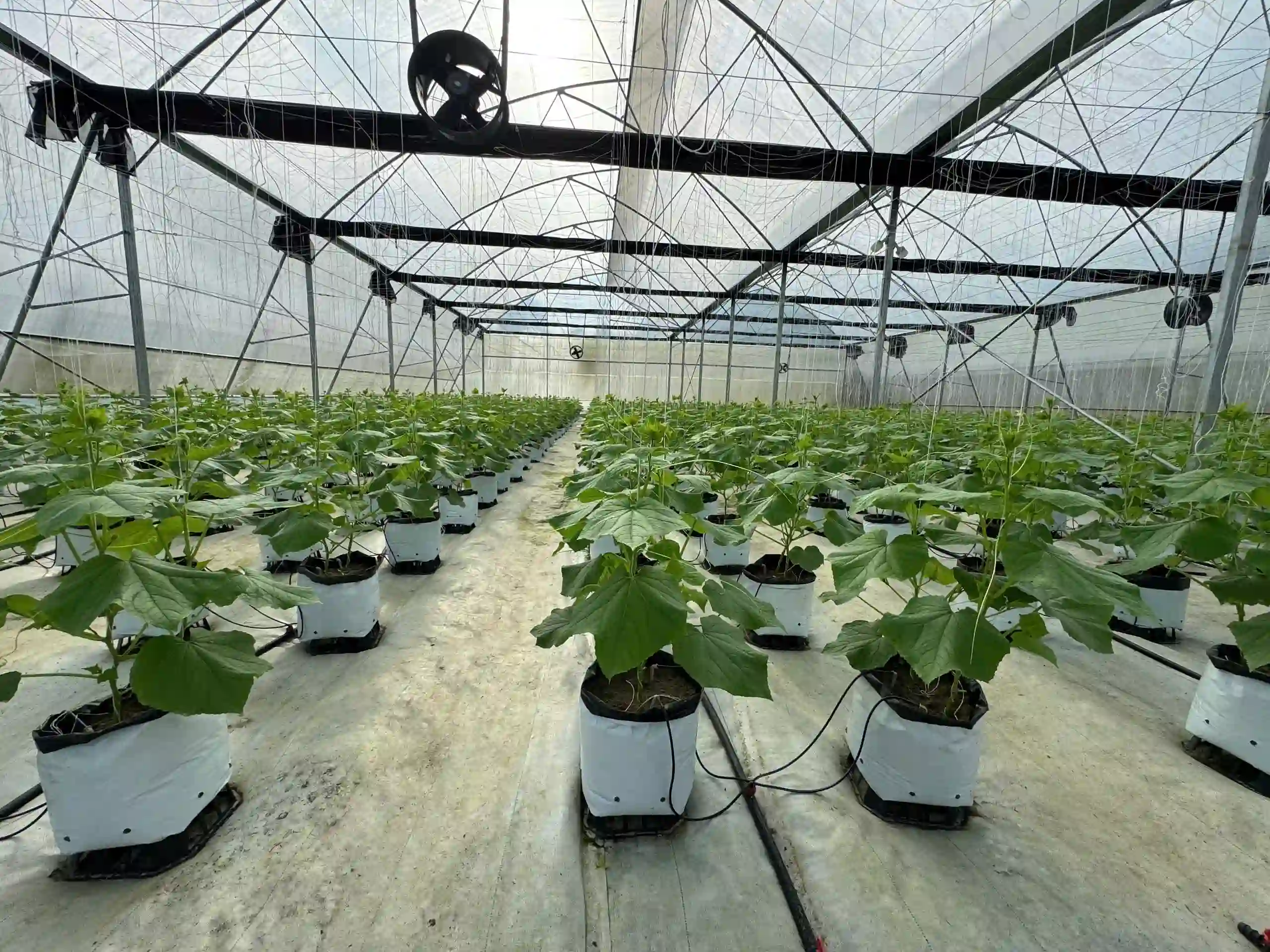 CẢM BIẾN KH&Iacute; CO2 EE820-HV3A6E1 PHỤC VỤ TRONG C&Aacute;C ỨNG DỤNG M&Agrave; CO2 L&Agrave; YẾU TỐ SỐNG C&Ograve;N