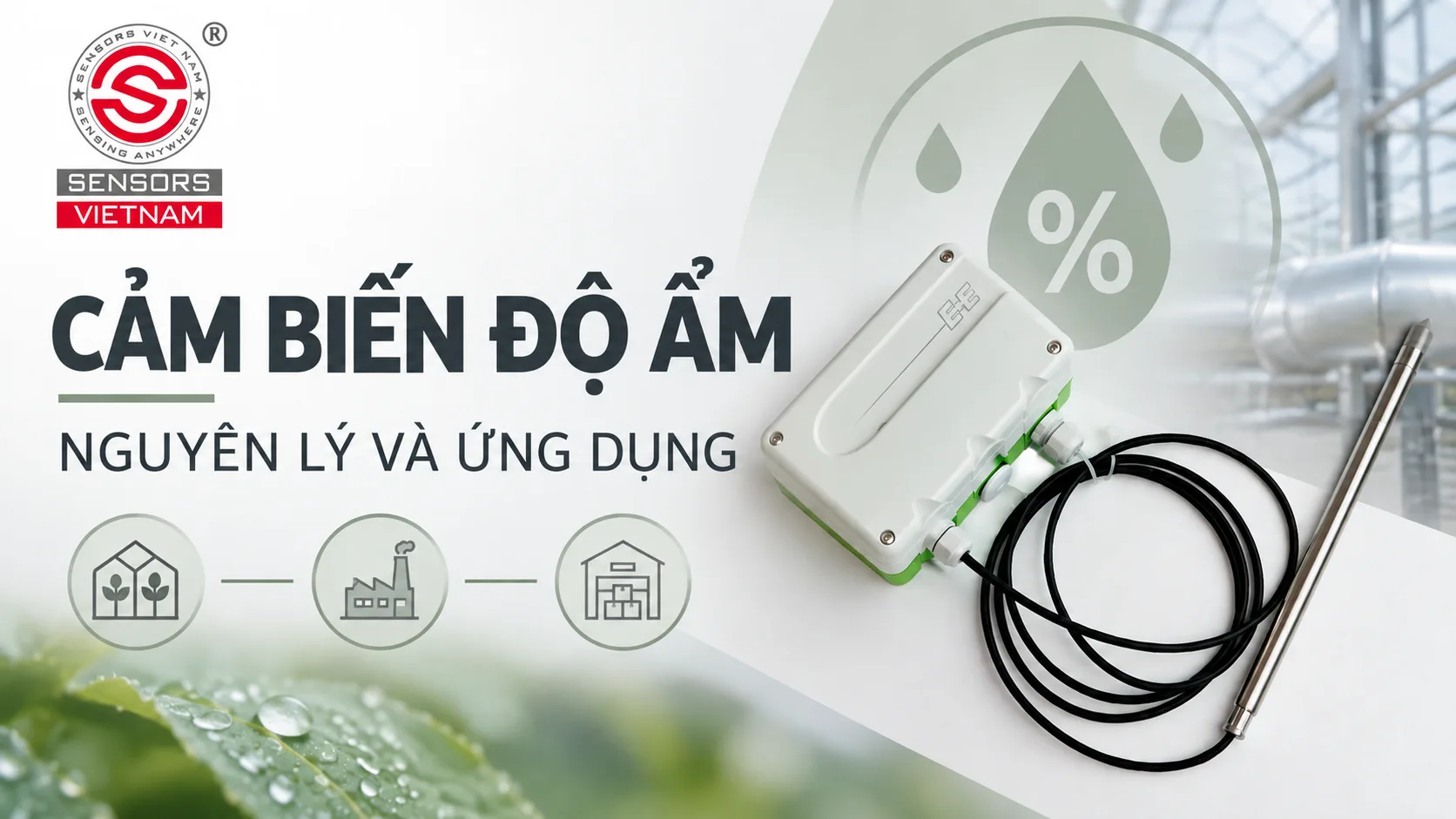CẢM BIẾN ĐỘ ẨM LÀ GÌ? NGUYÊN LÝ VÀ ỨNG DỤNG