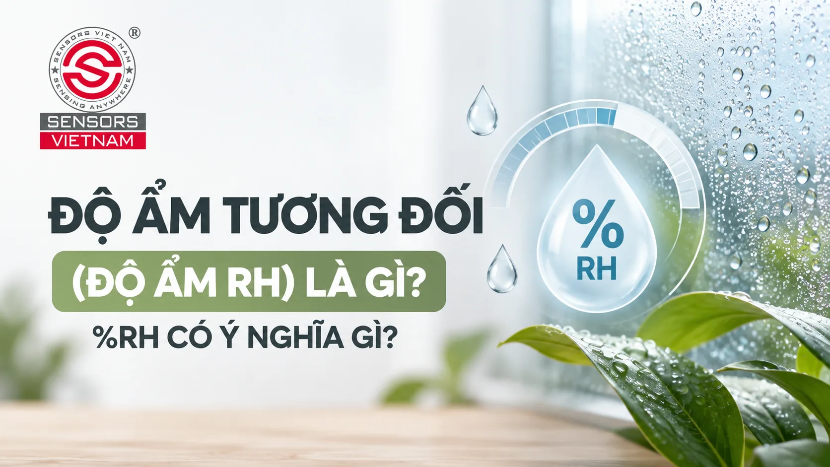 ĐỘ ẨM TƯƠNG ĐỐI (ĐỘ ẨM RH) L&Agrave; G&Igrave;? %RH C&Oacute; &Yacute; NGHĨA G&Igrave;?